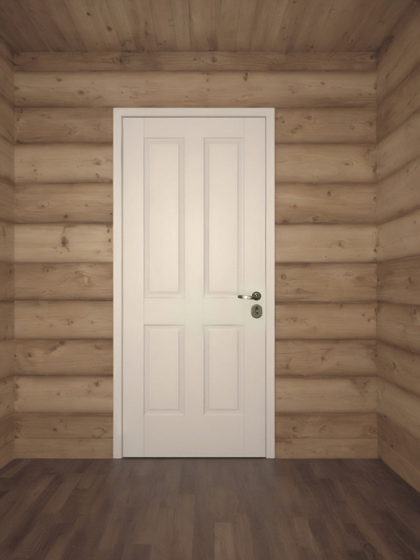 Дверь для загородного дома Дверь для загородного дома